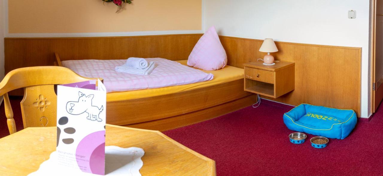 Berghotel Steiger - Erzgebirge Schneeberg  Kültér fotó